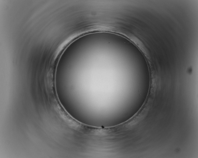 X0000113290904200909211101