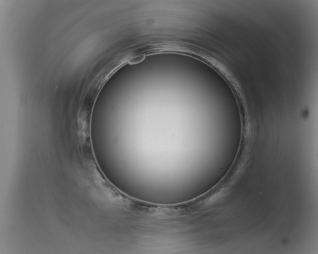 X0000113290905200909211101