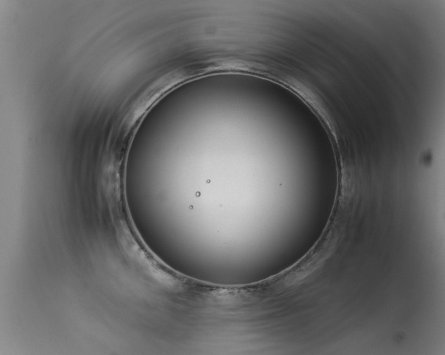 X0000113290906200909211101