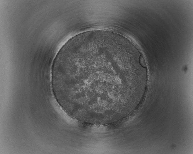 X0000113290907200909211101