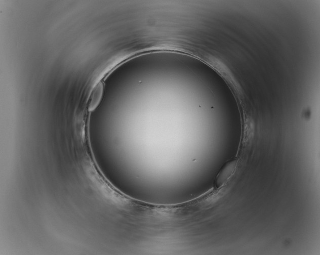 X0000113290908200909211101