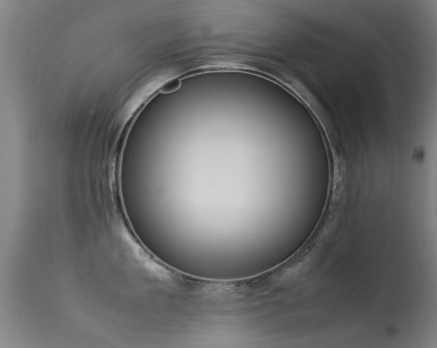 X0000113290909200909211101