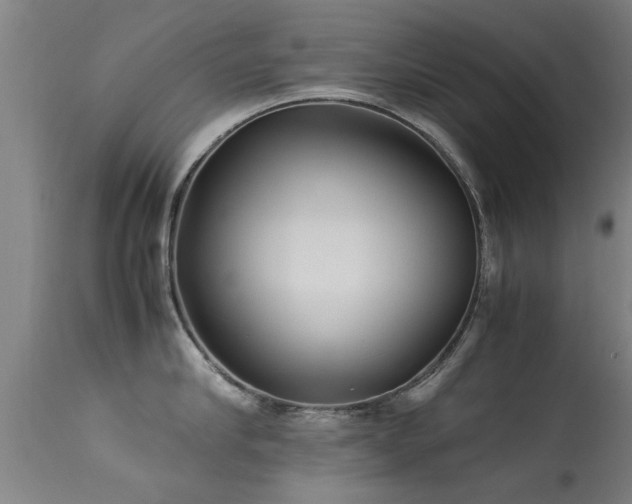 X0000113290910200909211101