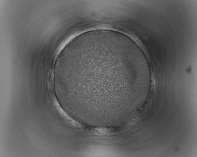 X0000113290911200909211101