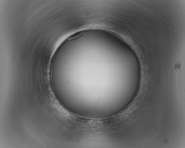 X0000113290912200909211101