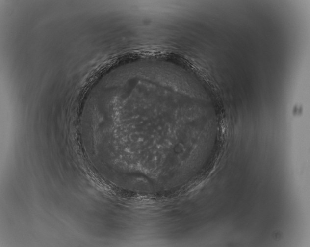 X0000113290913200909211100