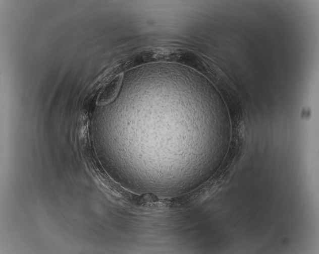 X0000113290914200909211100