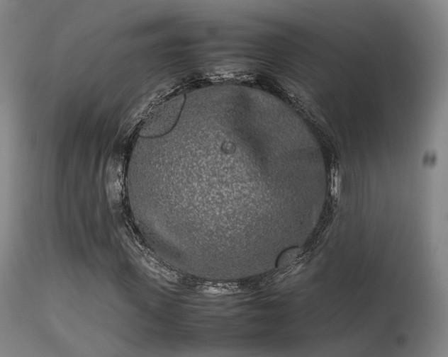 X0000113290915200909211100