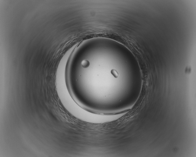 X0000113290916200909211100