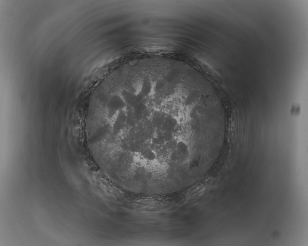 X0000113290917200909211100