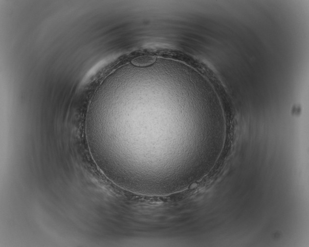 X0000113290919200909211100