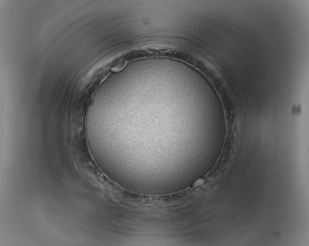 X0000113290920200909211100