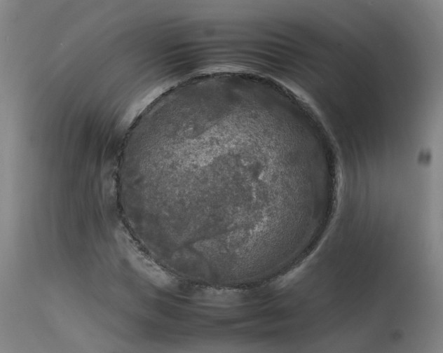 X0000113290921200909211100