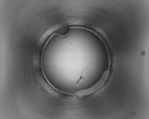 X0000113290922200909211100