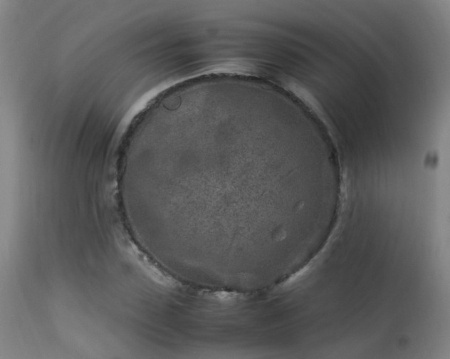 X0000113290923200909211100