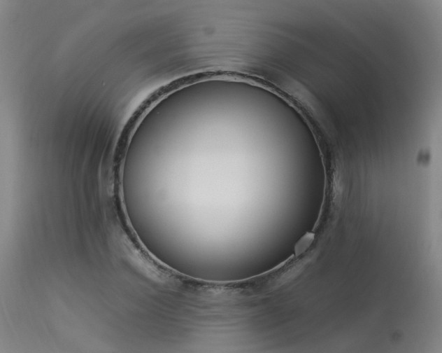 X0000113290924200909211100