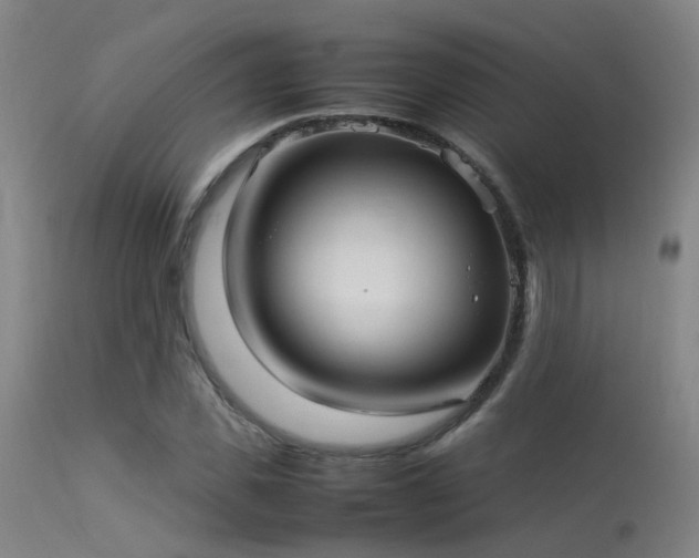 X0000113290925200909211100