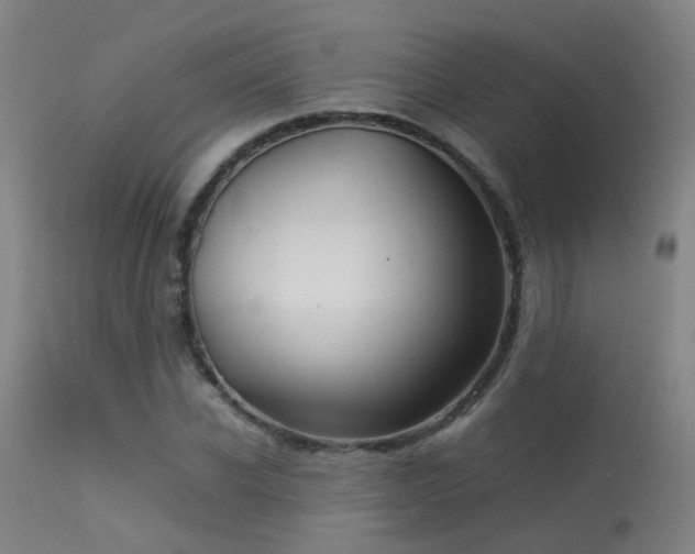 X0000113290926200909211100