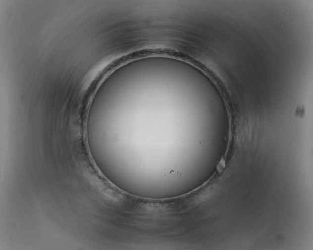 X0000113290927200909211100