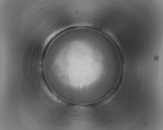 X0000113290928200909211100