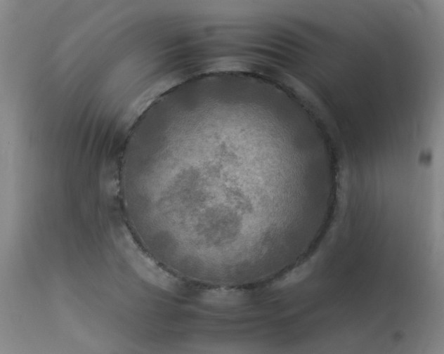 X0000113290929200909211100