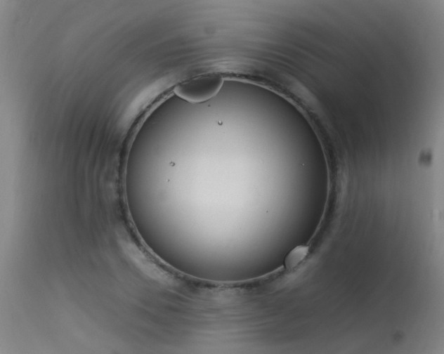 X0000113290930200909211100