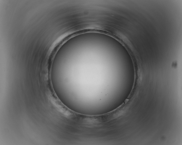 X0000113290931200909211100