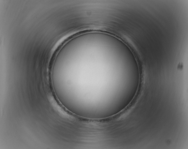 X0000113290932200909211100