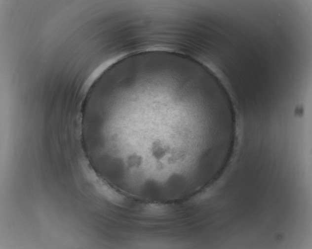 X0000113290933200909211100