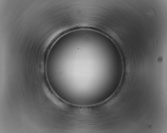 X0000113290934200909211100