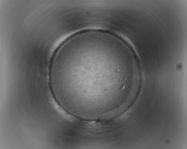 X0000113290935200909211100