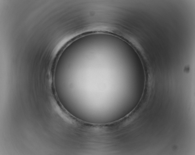 X0000113290936200909211100