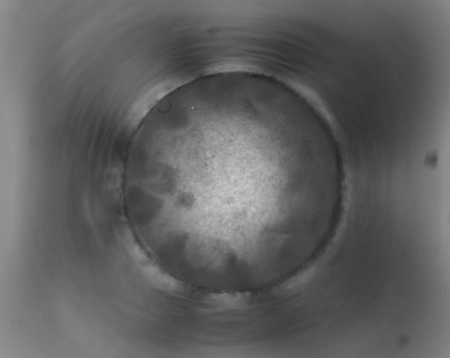 X0000113290937200909211100