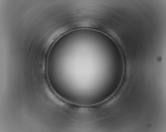 X0000113290938200909211100