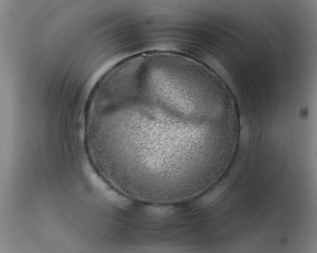 X0000113290939200909211100