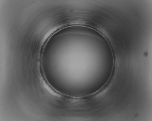 X0000113290941200909211100