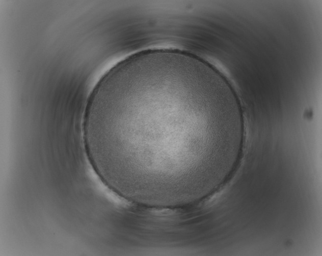 X0000113290943200909211100