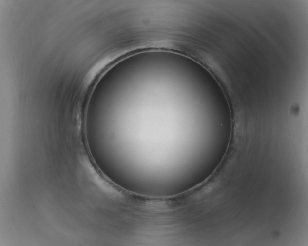 X0000113290944200909211100