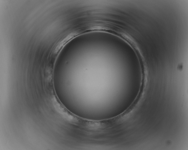 X0000113290945200909211100