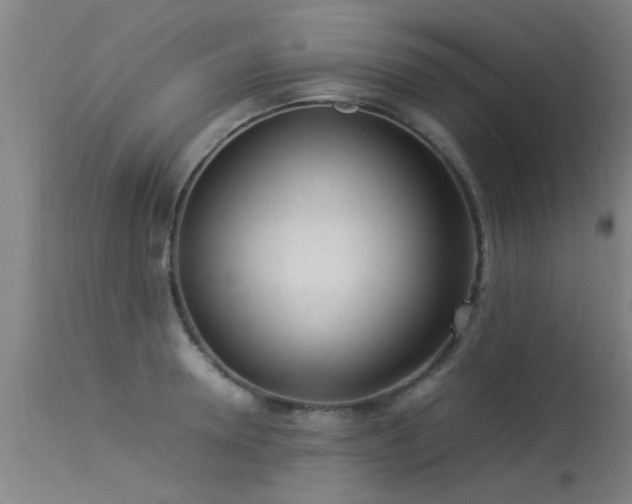 X0000113290946200909211100