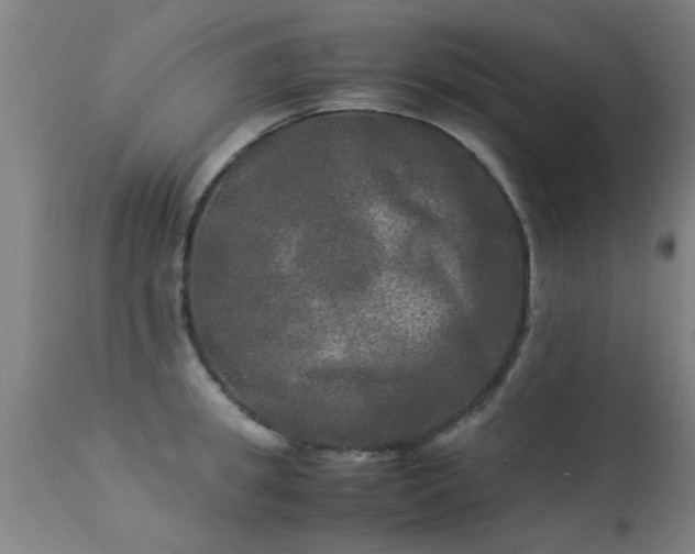 X0000113290949200909211100