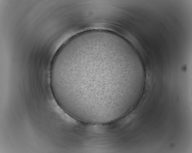 X0000113290950200909211100