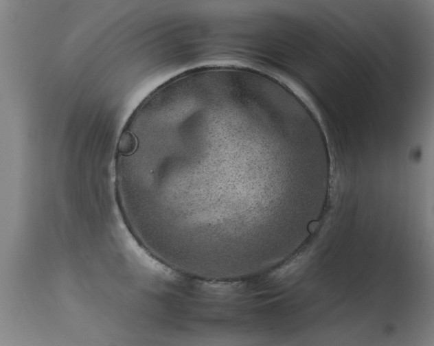 X0000113290951200909211100