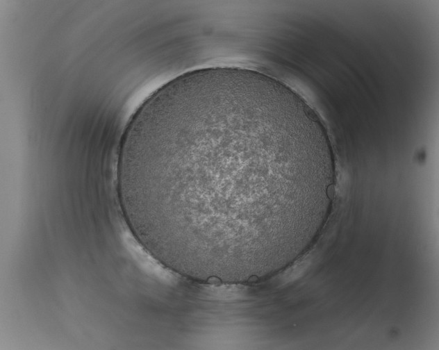 X0000113290952200909211100