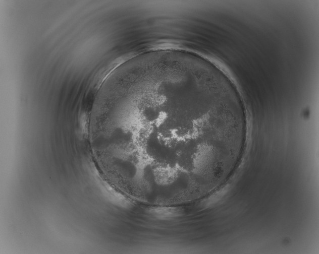 X0000113290953200909211100