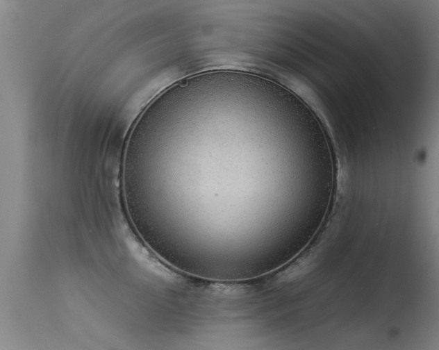 X0000113290954200909211100