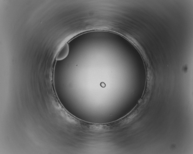 X0000113290956200909211100