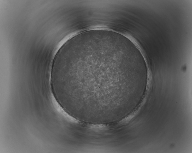 X0000113290957200909211100