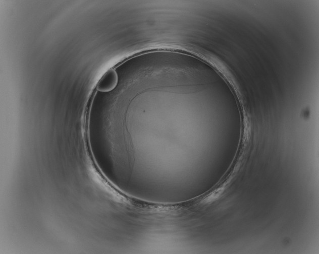 X0000113290958200909211100