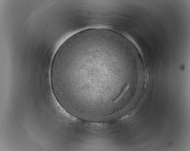 X0000113290959200909211100